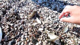 Морская рыбалка в Анталии на Коньяалты: где встать с берега