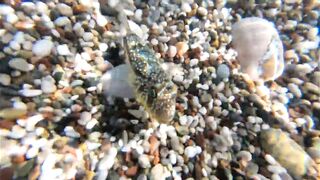 Морская рыбалка в Анталии на Коньяалты: где встать с берега