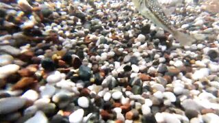 Морская рыбалка в Анталии на Коньяалты: где встать с берега