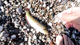 Морская рыбалка в Анталии на Коньяалты: где встать с берега