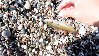 Морская рыбалка в Анталии на Коньяалты: где встать с берега