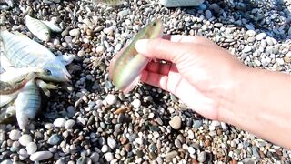 Морская рыбалка в Анталии на Коньяалты: где встать с берега