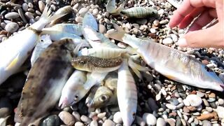 Морская рыбалка в Анталии на Коньяалты: где встать с берега