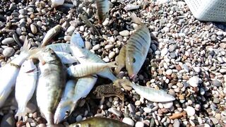 Морская рыбалка в Анталии на Коньяалты: где встать с берега