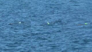 Konyaaltı Antalya без суеты и есть ли рыбалка у волнорезов?