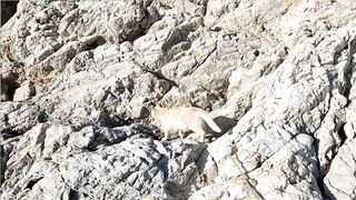 Kuşadası честный выезд, рыбалка без улова и полезные выводы