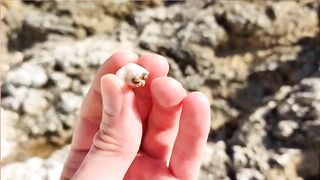 Kuşadası честный выезд, рыбалка без улова и полезные выводы