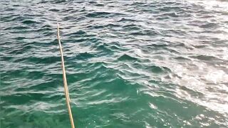 Kuşadası честный выезд, рыбалка без улова и полезные выводы