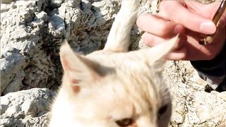 Kuşadası честный выезд, рыбалка без улова и полезные выводы