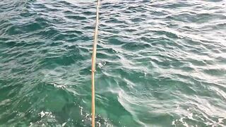 Kuşadası честный выезд, рыбалка без улова и полезные выводы