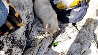Kuşadası честный выезд, рыбалка без улова и полезные выводы