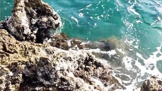 Kuşadası честный выезд, рыбалка без улова и полезные выводы