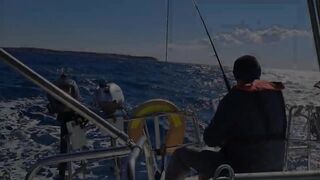 Kuşadası → Foça: яхтенный переход и морская рыбалка по пути