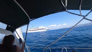 Kuşadası → Foça: яхтенный переход и морская рыбалка по пути