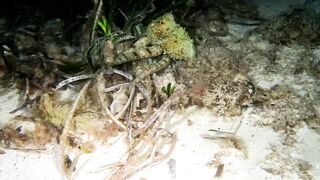 Кушадасы, Эгейское море и кадры 2016 есть ли рыбалка для береговика