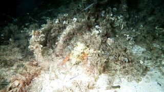 Кушадасы, Эгейское море и кадры 2016 есть ли рыбалка для береговика