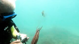 Кушадасы, Эгейское море и кадры 2016 есть ли рыбалка для береговика