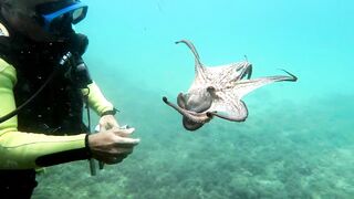 Кушадасы, Эгейское море и кадры 2016 есть ли рыбалка для береговика