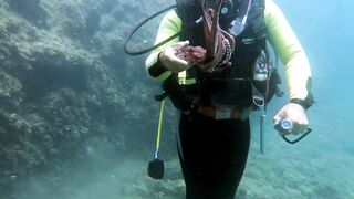 Кушадасы, Эгейское море и кадры 2016 есть ли рыбалка для береговика