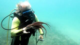 Кушадасы, Эгейское море и кадры 2016 есть ли рыбалка для береговика