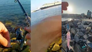 Kuşadası, береговая раздача чинакопа и быстрая рыбалка до рассвета