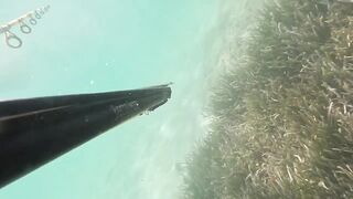 Çeşme май 2025 подводная охота и морская рыбалка в Чешме на чистой воде