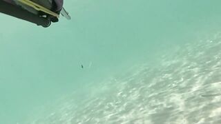 Çeşme май 2025 подводная охота и морская рыбалка в Чешме на чистой воде