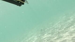 Çeşme май 2025 подводная охота и морская рыбалка в Чешме на чистой воде