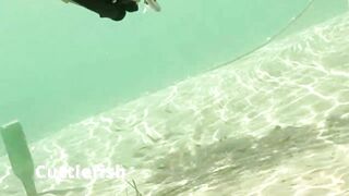 Çeşme май 2025 подводная охота и морская рыбалка в Чешме на чистой воде