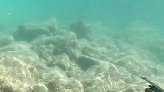 Çeşme май 2025 подводная охота и морская рыбалка в Чешме на чистой воде