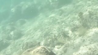 Çeşme май 2025 подводная охота и морская рыбалка в Чешме на чистой воде