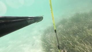 Çeşme май 2025 подводная охота и морская рыбалка в Чешме на чистой воде