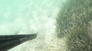 Çeşme май 2025 подводная охота и морская рыбалка в Чешме на чистой воде