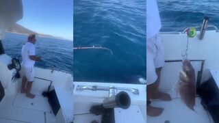 Çeşme и Fangri avı - морская рыбалка на лёгкий джиг у свала