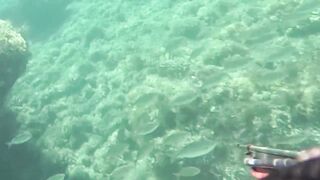 Çeşme подводная охота и лодки на рейде где рядом морская рыбалка по бровкам