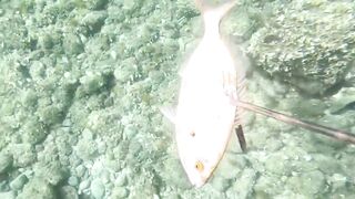 Çeşme подводная охота и лодки на рейде где рядом морская рыбалка по бровкам