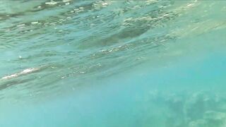 Çeşme подводная охота и лодки на рейде где рядом морская рыбалка по бровкам