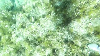 Çeşme подводная охота и лодки на рейде где рядом морская рыбалка по бровкам