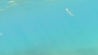 Çeşme подводная охота и лодки на рейде где рядом морская рыбалка по бровкам