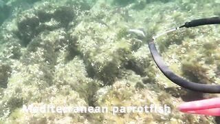 Çeşme подводная охота и лодки на рейде где рядом морская рыбалка по бровкам