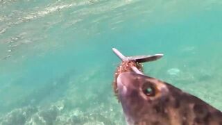 Çeşme подводная охота и лодки на рейде где рядом морская рыбалка по бровкам