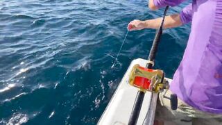 Alaçatı Tuna Masters 2021, чемпионат и морская рыбалка у зрителей