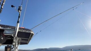 Alaçatı Tuna Masters 2021, чемпионат и морская рыбалка у зрителей