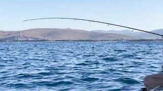 Alaçatı Tuna Masters 2021, чемпионат и морская рыбалка у зрителей