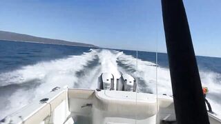 Alaçatı Tuna Masters 2021, чемпионат и морская рыбалка у зрителей