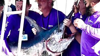 Alaçatı Tuna Masters 2021, чемпионат и морская рыбалка у зрителей