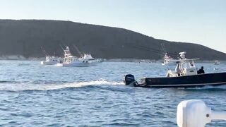 Alaçatı Tuna Masters 2021, чемпионат и морская рыбалка у зрителей