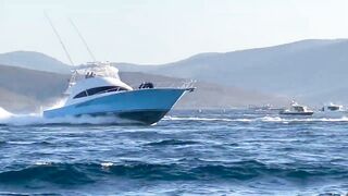 Alaçatı Tuna Masters 2021, чемпионат и морская рыбалка у зрителей