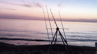 Охота за левреком в Дидиме - ночная снасть и рабочие проводки