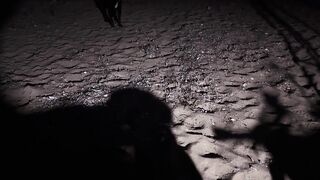 Охота за левреком в Дидиме - ночная снасть и рабочие проводки